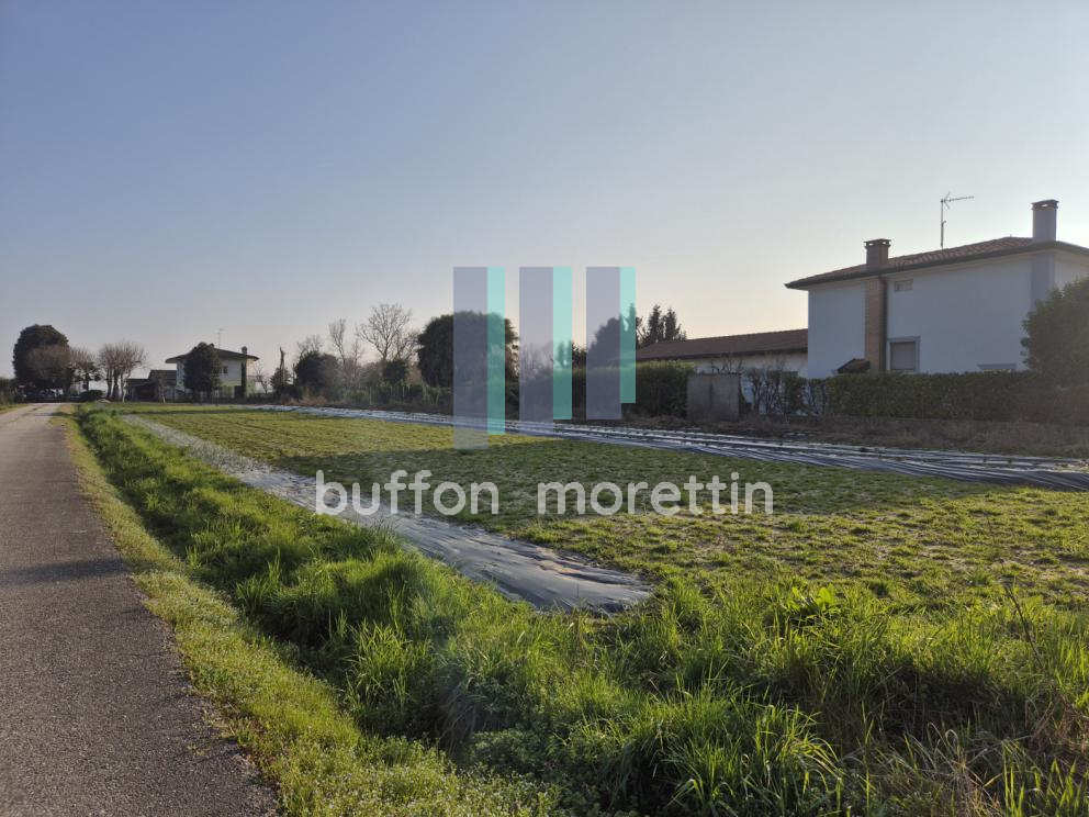 Image Sample